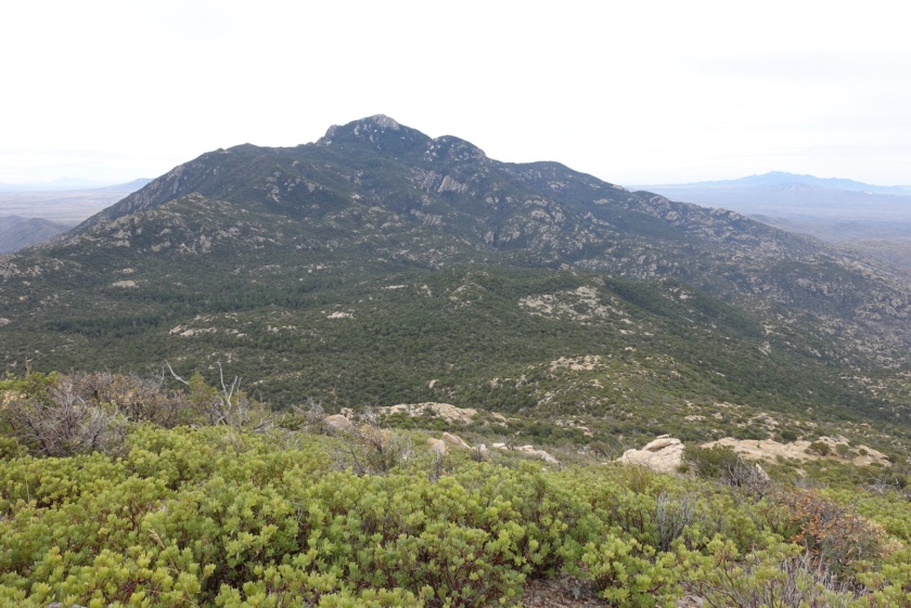 Rincon Peak, from Heartbreak Ridge 